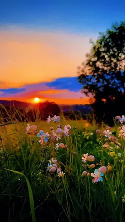 SlowMo ☀️☀️