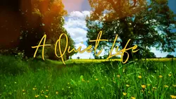 a quiet life
