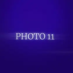 11 pic version