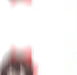 流行りの、？