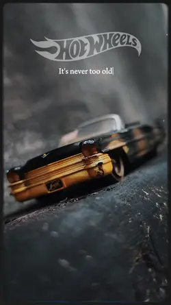 HOTWHEELS DIECASTER