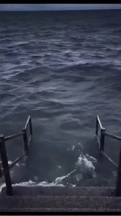 oceanmeme