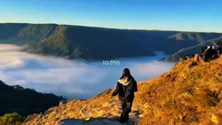 From this… to this