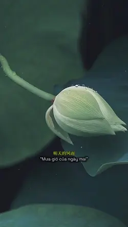 1 ẢNH