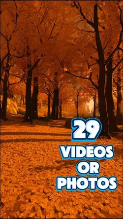 29 videos or photos 