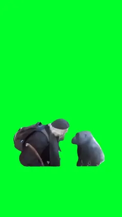Talking to Gorilla