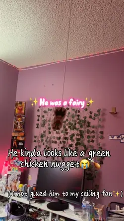 GON CAN FLY 