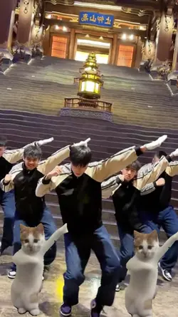 Dance kucing
