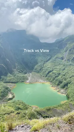 Track vs View 