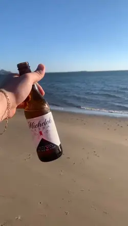 🏝️