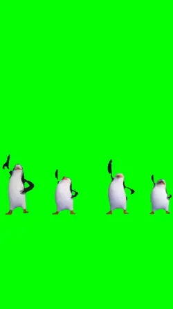 Penguins dancing 