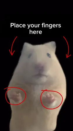 Funny mouse meme