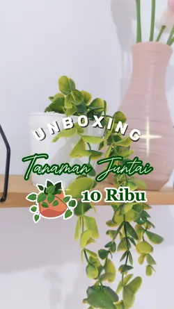 unboxing tanaman 