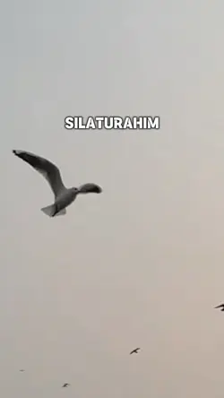 Silaturahim