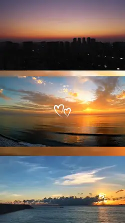 3 grid video