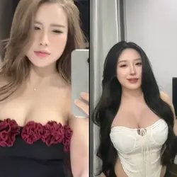 2 parallel videos