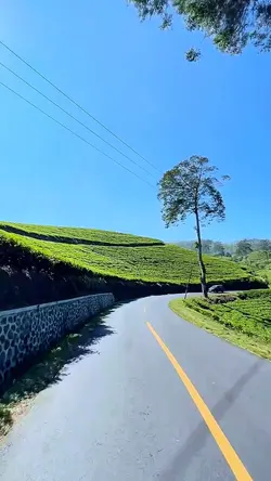 road trip clips