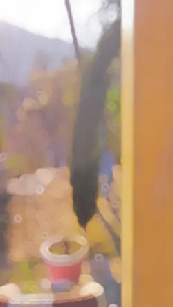 slowmo