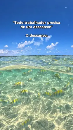 Meme turismo viagem
