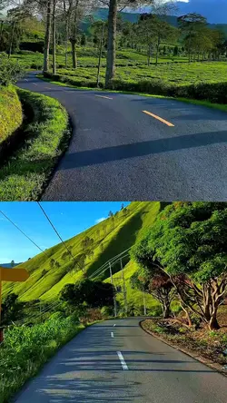 2 video collage