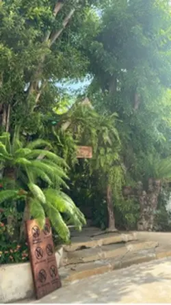 Bobo Cafe 