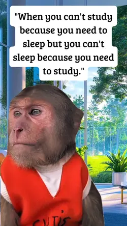 need to study 