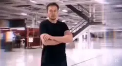 this elon musk