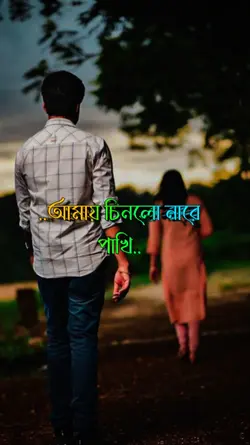 আমায় চিনলো নারে পাখি