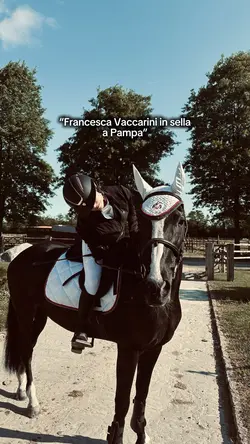 horse riding