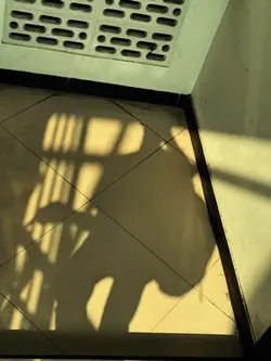 bunga maaf 