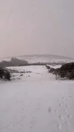 Snow❄️🌨️⛄️☃️
