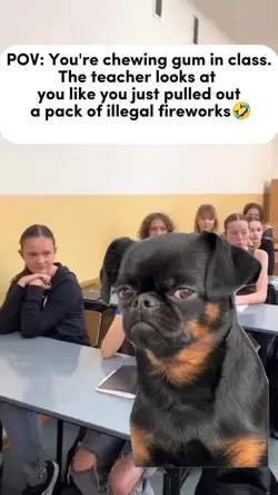 Chewing gum