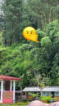 emoji velocity