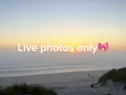 Live photos only