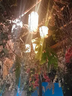 bom dia 