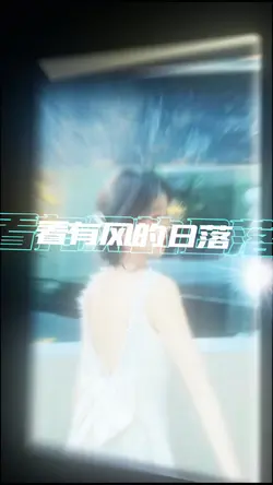 看有风的日落