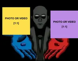 BLUE PILL 🆚 RED PILL