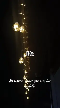 live your life