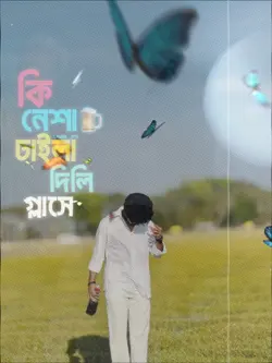 কি নেশা ঢাইলা দিলি.!