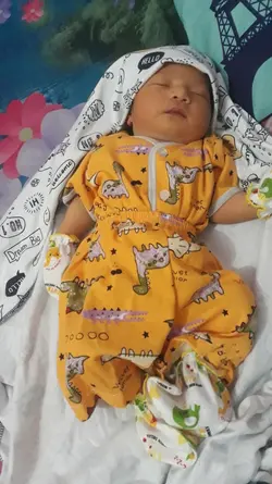 Bayi 2019ku