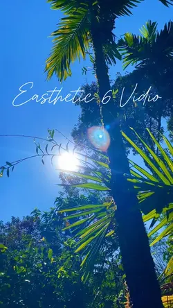 6 vidio easthetic