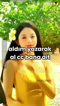 fancamm sil al