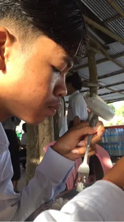 សុីទៅបានសុី