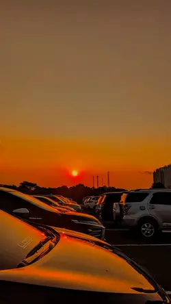 Filter senja