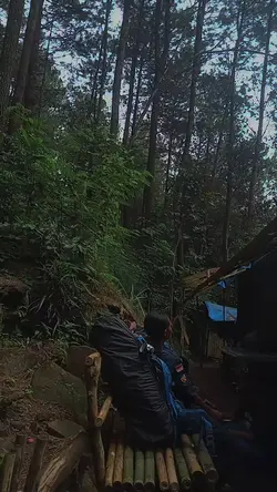 suasana hutan