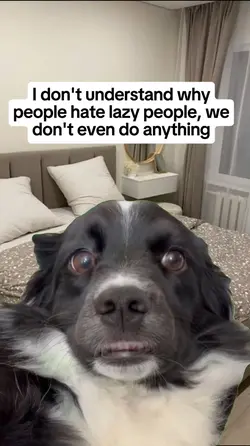 we don't do anythin