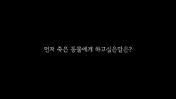 죽은동물에게 한마디씩 하고가세요