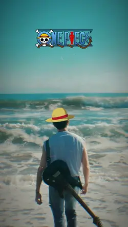 Kho báu One Piece 
