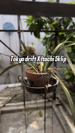 Tokyo x itachi 5klip
