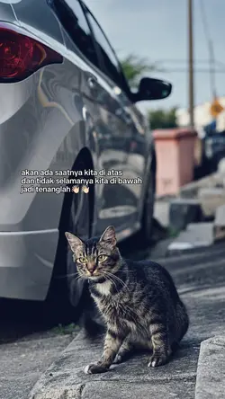 kata kata